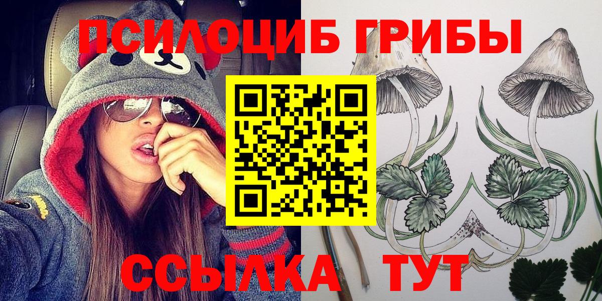 Галлюциногенные грибы Psilocybe Вятские Поляны